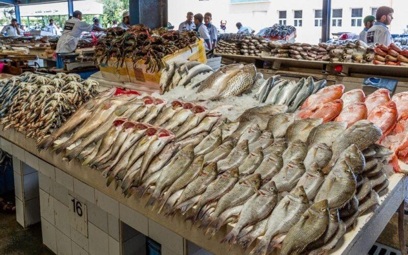 أسعار المأكولات البحرية بالأسواق اليوم الإثنين 12 مايو 2025