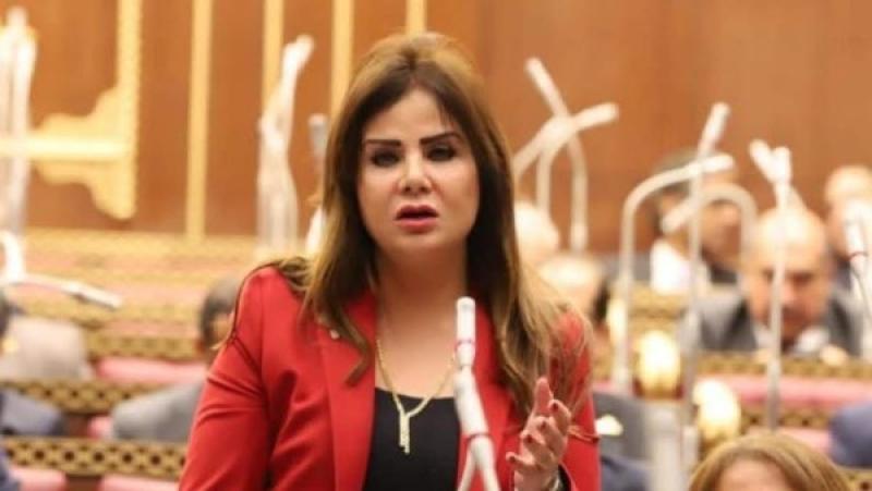 برلمانية: الحماية الاجتماعية ركيزة من ركائز الأمن القومي.. وتكافل وكرامة في المقدمة