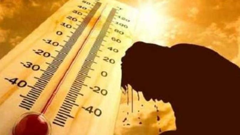 طقس حار بالقاهرة اليوم..  تعرف على درجات الحرارة