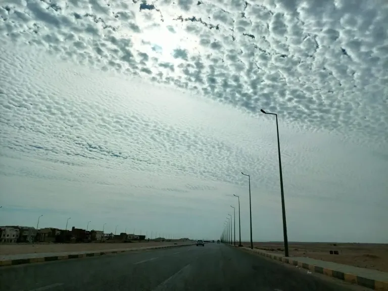 طقس كفرالشيخ اليوم.. استقرار درجات الحرارة ورياح خفيفة نهارا شديد البرودة ليلا