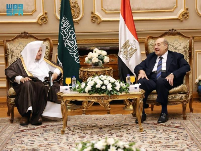 آل الشيخ يبحث مع رئيس مجلس الشيوخ المصري التعاون الثنائي