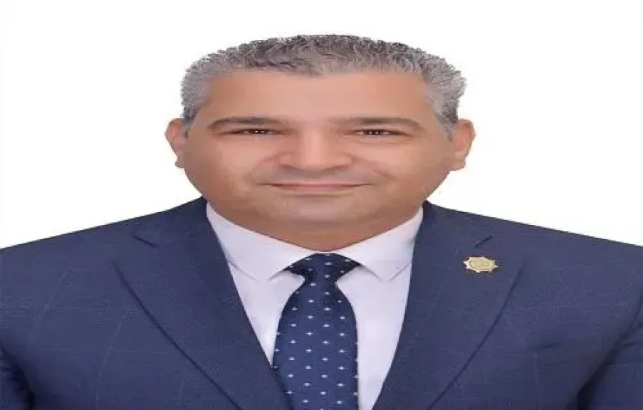 عياد رزق: مصر والسعودية تمثلان ثقلًا عربيًا مؤثرًا والتنسيق بينهما ضرورة