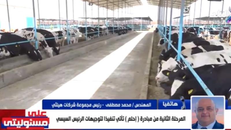 مجموعة هيلثي: السلالة الألمانية من الأبقار تنتج 40 كيلو لبن يوميا