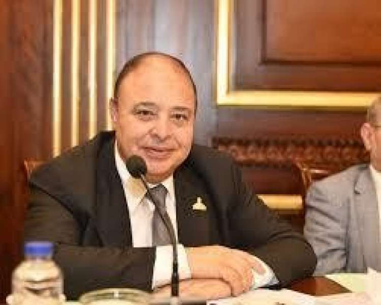 صحة الشيوخ: خفض الدين العام وتحقيق الاستقرار الاقتصادي أولوياتنا لتعزيز نمو مصر