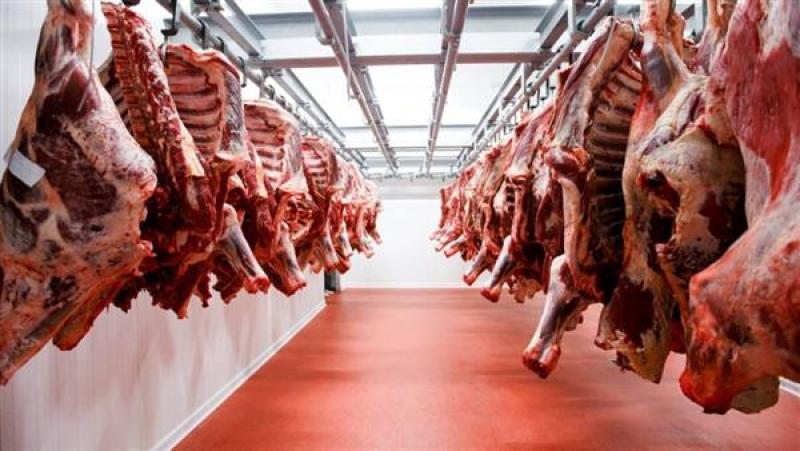 ”التموين” تعلن خطتها لتوفير السلع الاستراتيجية خلال عيد الأضحى
