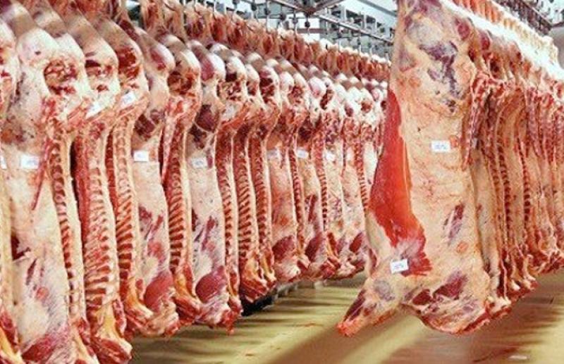 المجازر الحكومية تستقبل أكثر من 9800 أضحية خلال أول أيام العيد