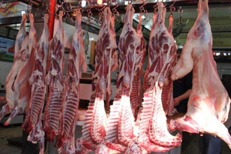 الغربية تُنهي موسم عيد الأضحى بـ1431 ذبيحة مجانية في 18 مجزرا