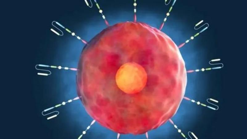 اكتشاف جزيء مُقاوم للموت قد يُبطئ تطور الشلل الرعاش