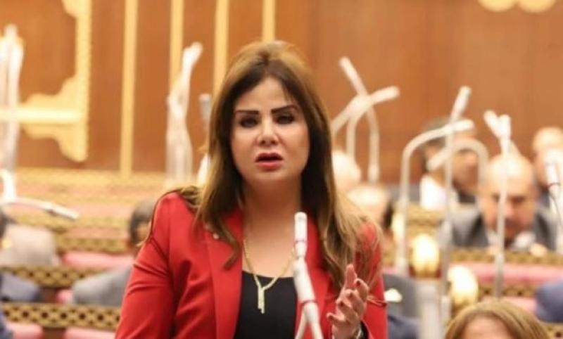 النائبة أمل رمزي: 30 يونيو أنقذت مصر من الفوضى والمجهول