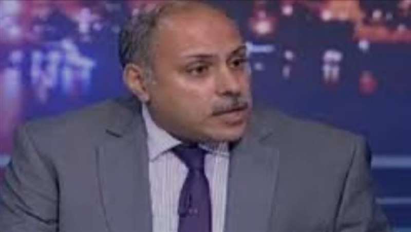أستاذ علوم سياسية: مصر أول من حذرت من اتساع رقعة الصراع بالمنطقة