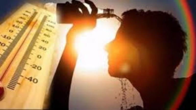 أبرزها الطفح الحراري.. نصائح مهمة للوقاية من أمراض الصيف