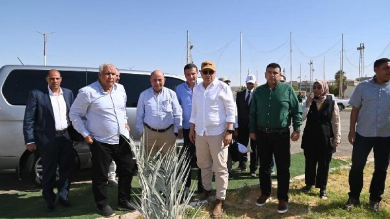 أكبر مزرعة للتمور.. الزراعة: تعظيم إنتاجية الفدان بالوادي الجديد