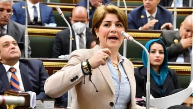 إيمان العجوز: 30 يونيو ثورة إنقاذ وطني من الانزلاق نحو الفوضى