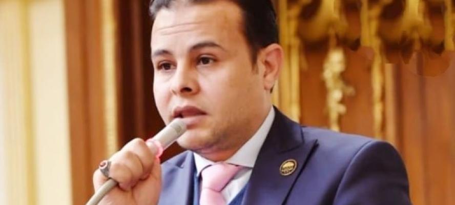 مدحت الكمار: المشاركة في انتخابات مجلس الشيوخ واجب وطني