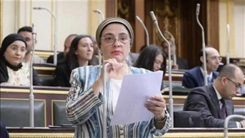 النائبة سميرة الجزار تطالب باستدعاء وزير البترول للبرلمان بعد حادث غرق حفار البحر الأحمر