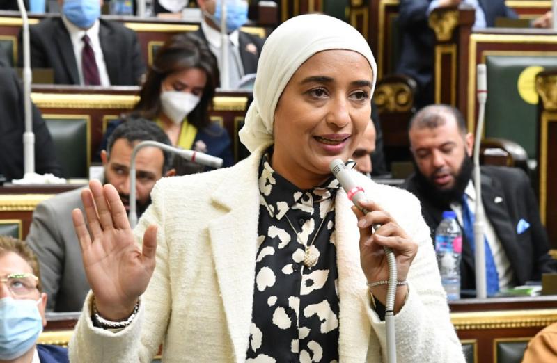 النائبة أميرة أبو شقة للحكومة عن الإيجار القديم: نلقاكم في الجولة القادمة أمام المحكمة الدستورية