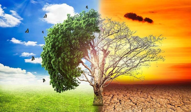 رئيس حزب البيئة العالمي يُحذر: الكوكب يحترق والتغير المناخي يخرج عن السيطرة
