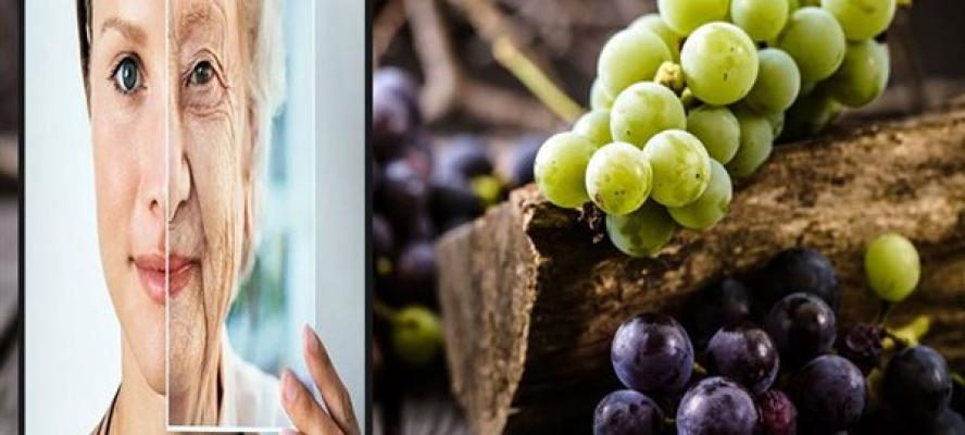 خبراء التغذية يتحدثون عن فوائد وأضرار العنب
