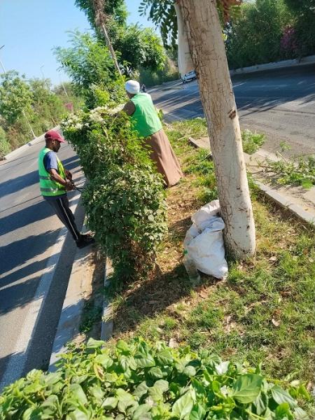 تجميل طريق مطار الأقصر.. تعرف على التفاصيل