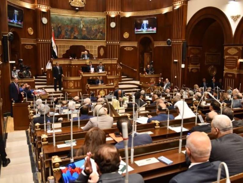 حزب حماة الوطن يعلن المنافسة على جميع المقاعد الفردية في انتخابات مجلس الشيوخ