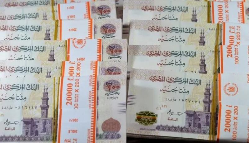 المركزي: ارتفاع الودائع بالعملة المحلية لـ 8.4 تريليون جنيه بنهاية مايو
