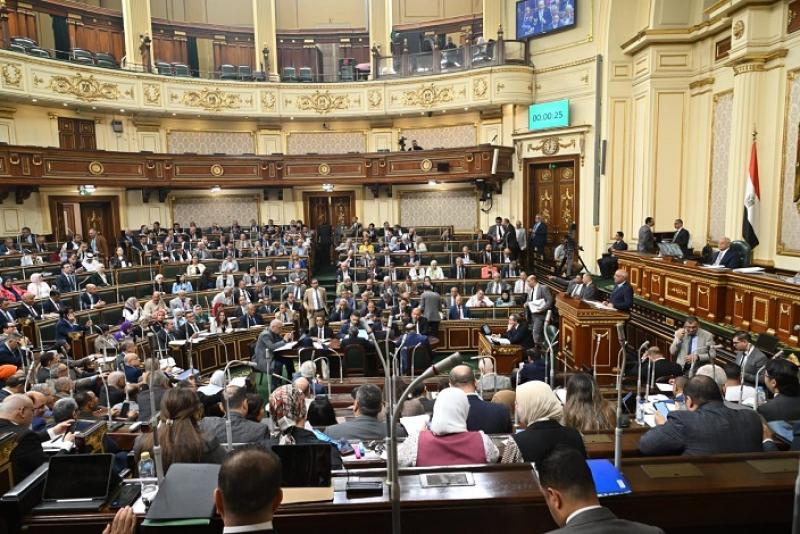 مجلس النواب يوافق على تعاقد هيئة الثروة المعدنية وشركة ستنامين لاستغلال خام الذهب في منطقة السكري طباعة