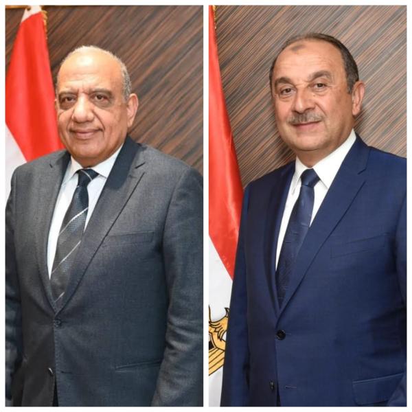 وزيرا الكهرباء وقطاع الأعمال يبحثان التعاون في مجالات تحسين كفاءة الطاقة