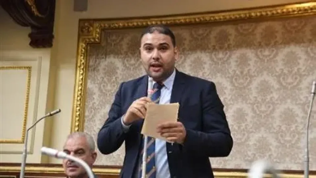 برلماني يحذر من مخاطر ”التيك توك”: يقوّض القيم المجتمعية والدينية