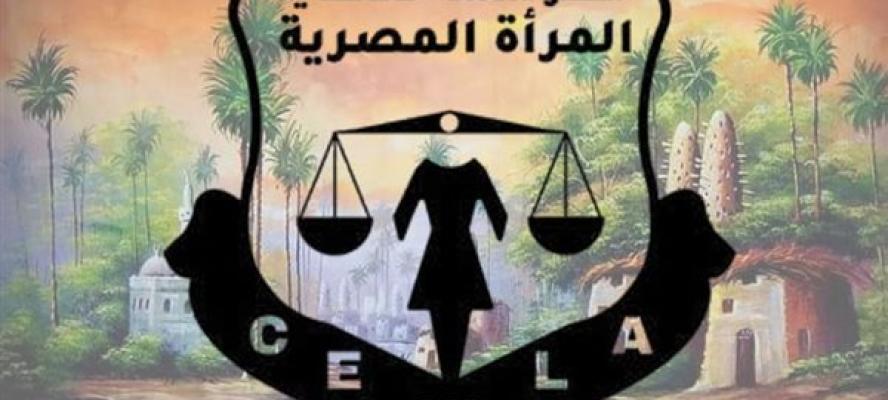 قضايا المرأة: 75 % من وفيات نساء الريف لا يتم تسجيلها