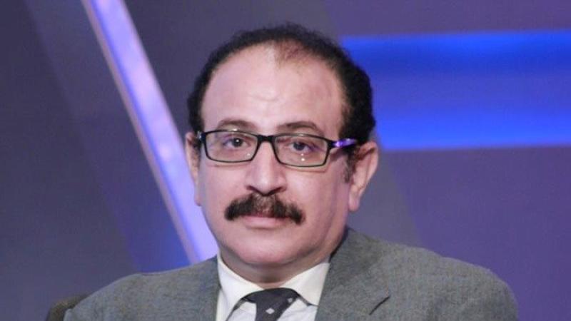 أستاذ علوم سياسية: مصر أعادت إحياء فكرة الدائرة الأفريقية