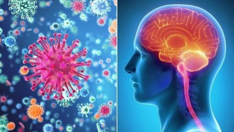 مخاطر الالتهاب السحائي على الأطفال.. احترس ينتقل عن طريق العطس والسعال