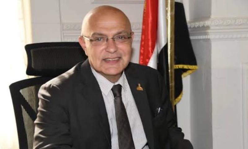 برلمانى: مصر نجحت في ترسيخ دورها في أفريقيا.. وتعزيز روابط التنمية والسلام على رأس أولوياتها