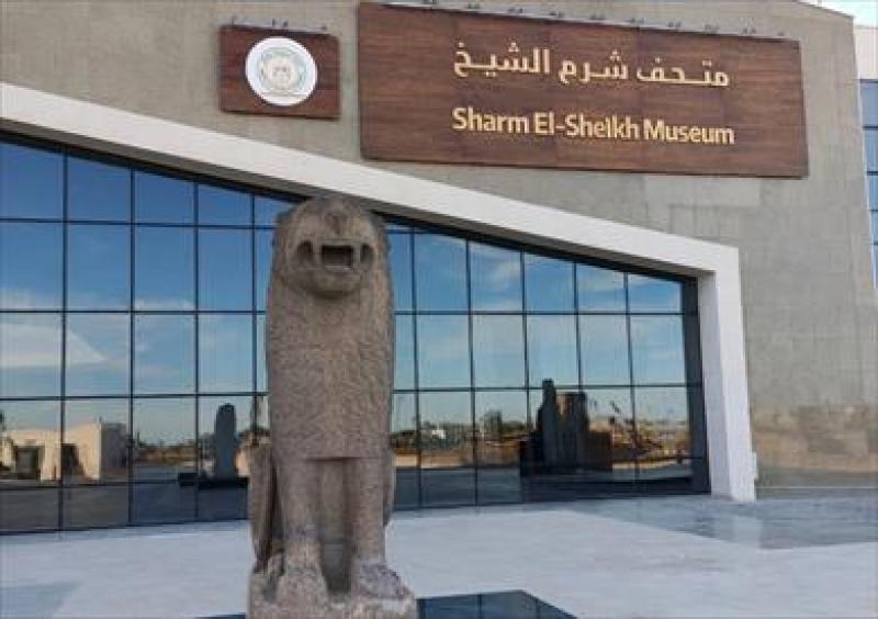 متحف شرم الشيخ يواصل تنفيذ مشروع المقبرة الحية