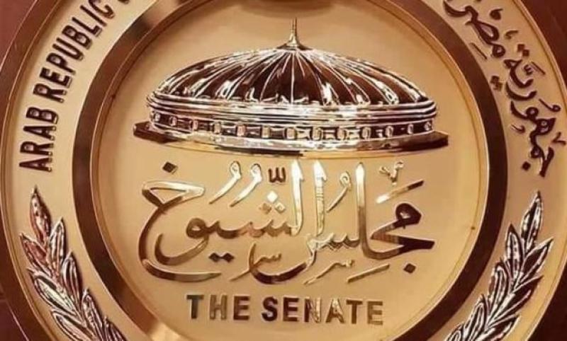 مجلس الشباب المصري يصدر تقريرًا تحليليًا عن المشهد الحزبي في انتخابات مجلس الشيوخ 2025