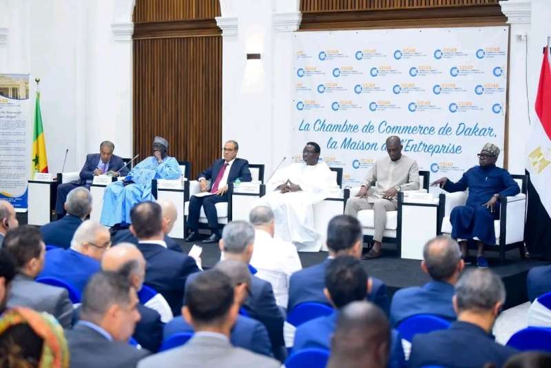 وزير الخارجية يفتتح منتدى الأعمال المصري - السنغالي بمشاركة موسعة من رجال الأعمال والشركات المصرية