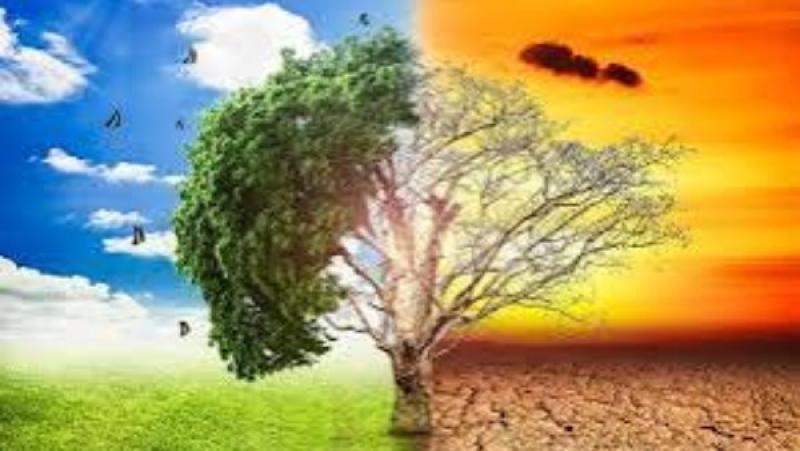 كيف يتفادى المزارعون أضرار موجة الطقس شديد الحرارة؟..رئيس مركز تغير المناخ يوضح