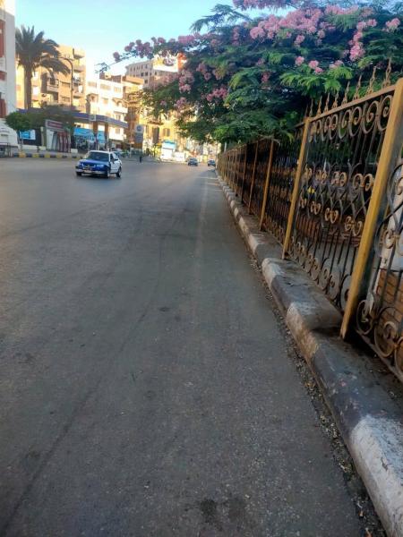 محافظ الغربية يتابع حملات النظافة والتشجير لرفع كفاءة الشوارع والميادين.. صور