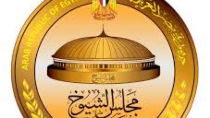 عصام شيحة: مشاركة المصريين في انتخابات مجلس الشيوخ خطوة في صناعة القرار