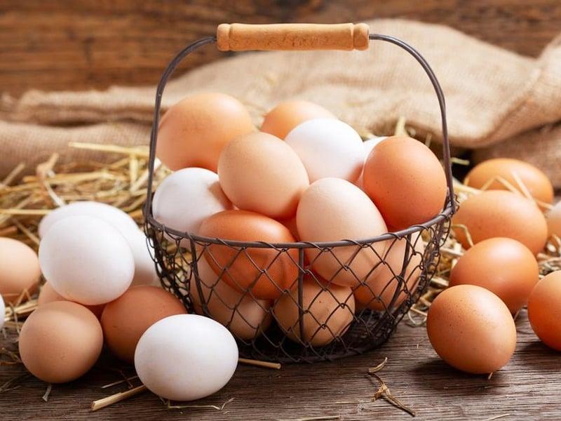 أطباء يكشفون حقيقة صادمة عن البيض