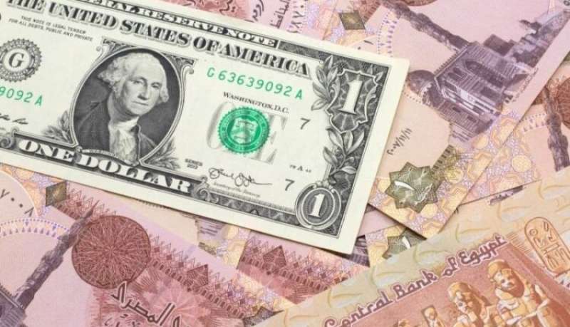 استطلاع جديد يكشف عن توقعات الفائدة في مصر وسعر صرف الدولار مقابل الجنيه