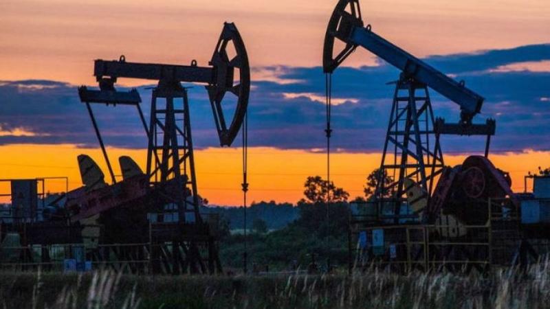 خبير: النفط والبيتكوين في حالة ترقب.. والمؤسسات الكبرى تدعم صعود العملات الرقمية