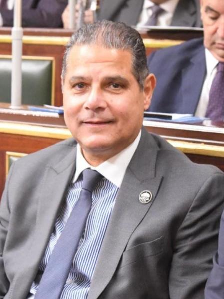 أحمد الخشن: قوة مشاركة المصريين بالخارج  في الانتخابات رسالة للعالم بتماسك وحدة شعبها لبناء دولة حديثة