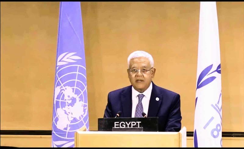 جبالي: الوضع المزري في فلسطين المُحتلة يُشكل صور قاتمة لتردي العدالة العالمية وأدواتها