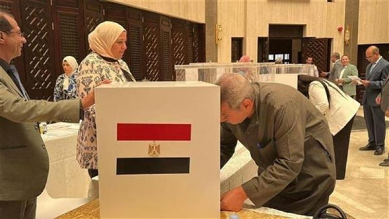 المصريون بميلانو يتوافدون على مقر القنصلية للإدلاء بأصواتهم في انتخابات الشيوخ