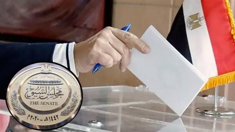 حضور لافت من أبناء الجالية المصرية باليونان للتصويت في انتخابات مجلس الشيوخ