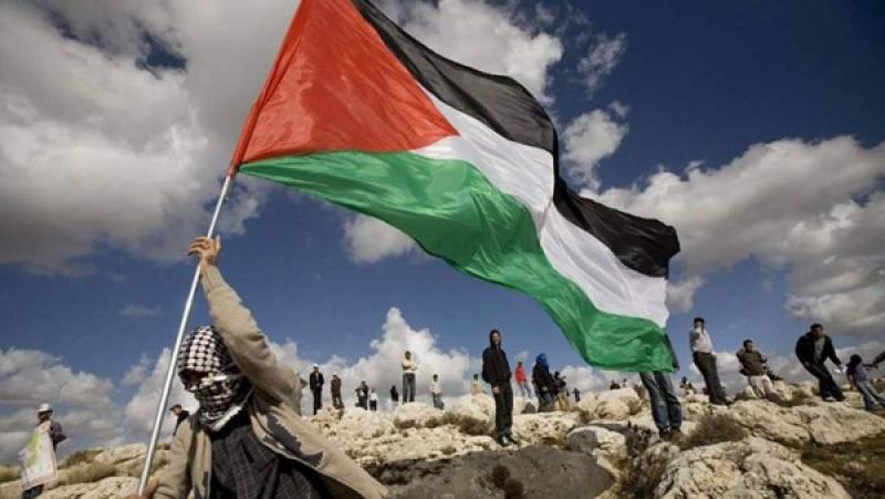 محمد عبد اللاه: عودة القضية الفلسطينية للساحة الدولية نتيجة الدور المصري