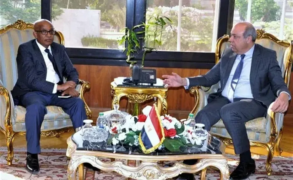 وزير الطيران يبحث مع وفد بوينج العالمية تعزيز التعاون في مجال النقل الجوي وتحديث الأسطول