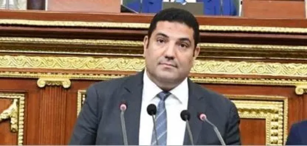 أحمد عبد المجيد: مشاركة المصريين بالخارج في انتخابات الشيوخ تجسيد للولاء والانتماء الوطني