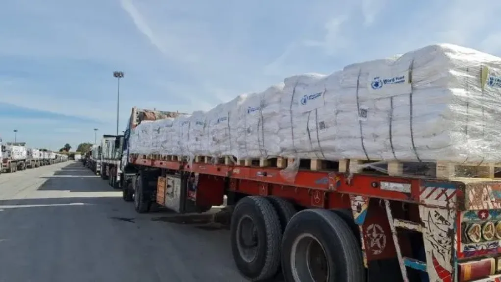 الهلال الأحمر المصري: تم الدفع بما يقرب من 95 ألف سلة غذائية لأشقاء في غزة
