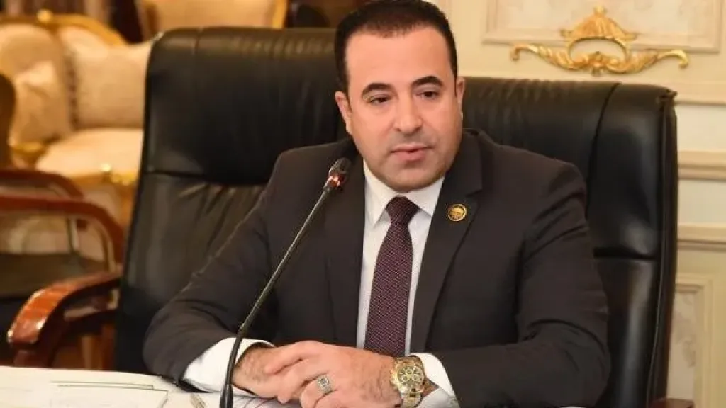 برلماني: حملات التطهير مستمرة.. وممثل قانوني لتطبيقات التواصل في مصر ضرورة ملحة